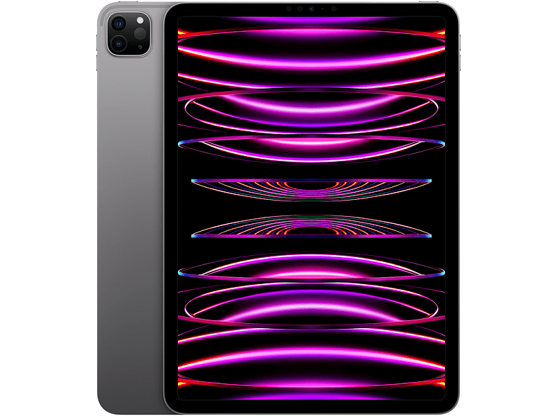 Apple iPad Pro (2022 4ª gen.) 256 GB Gris espacial 11 WiFi+CELL Liquid Retina XDR 8 GB RAM Chip M2 iPadOS 16